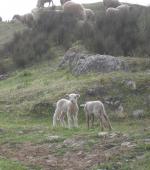 Turismo de naturaleza